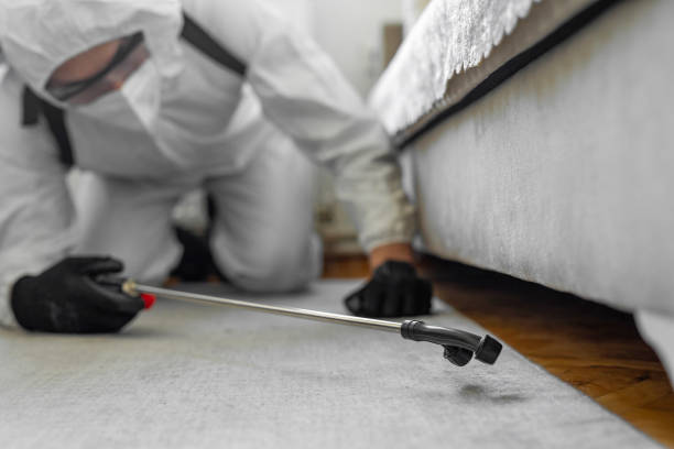 Professional Cockroach Control technician working in North Bennington, VT